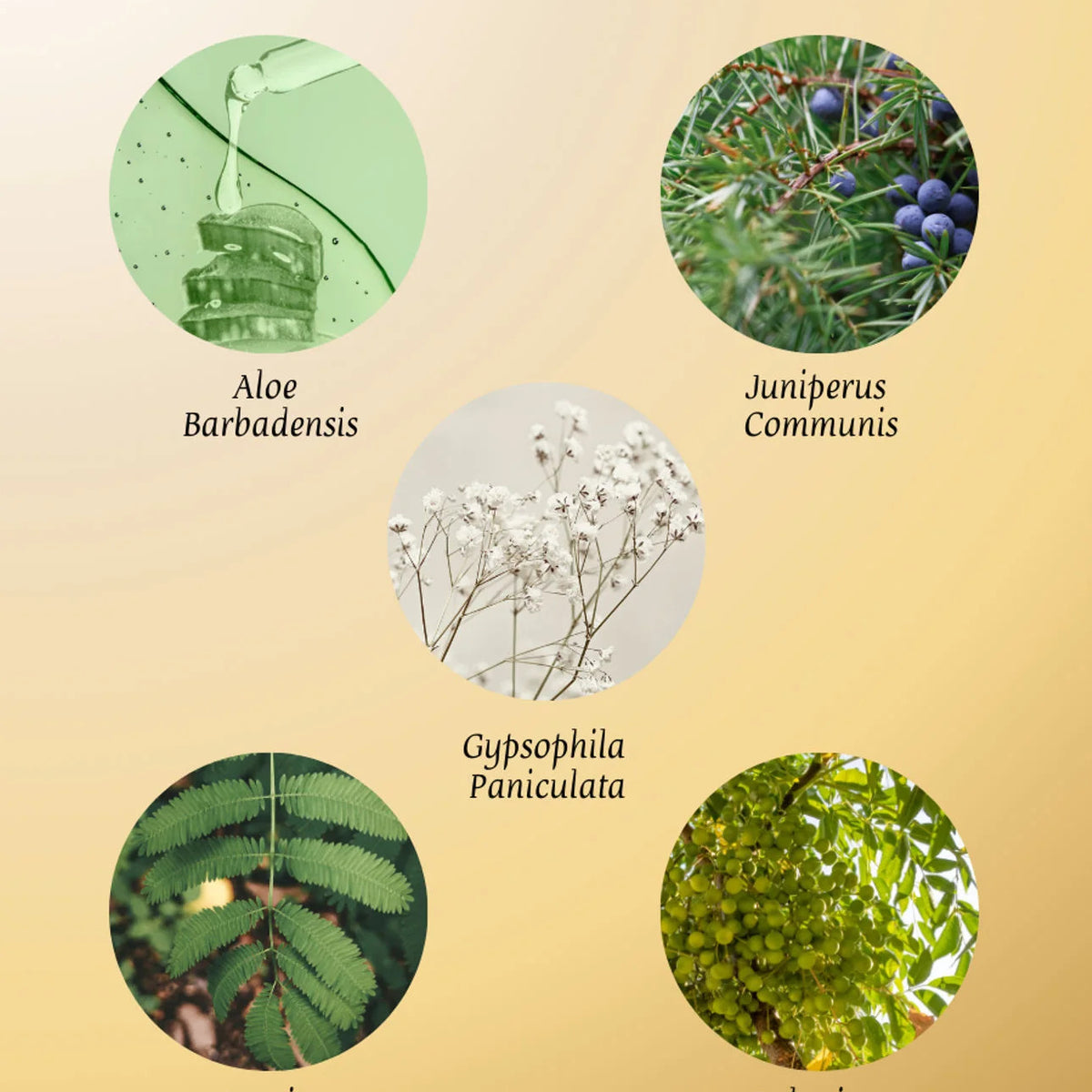 Bubble Shower Gel - 400ML