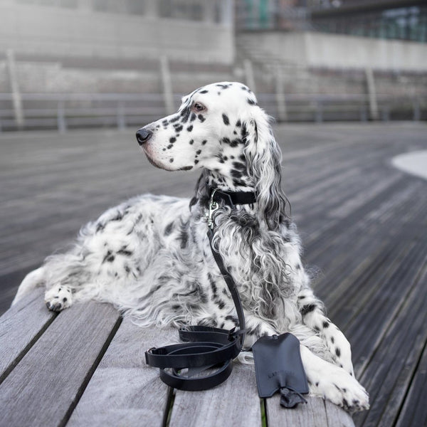 Lussa & Saku Set - Black 