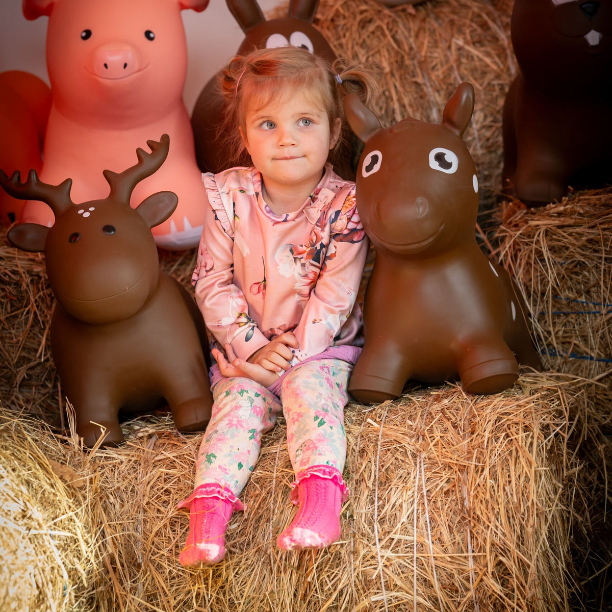 My First JUMPY – Brown Horse