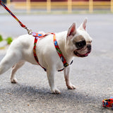 Nylon Harness – Red Graffiti