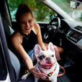 Nylon Harness – Red Graffiti