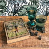 Bee Glasses Set of 4 Colors, 220ml