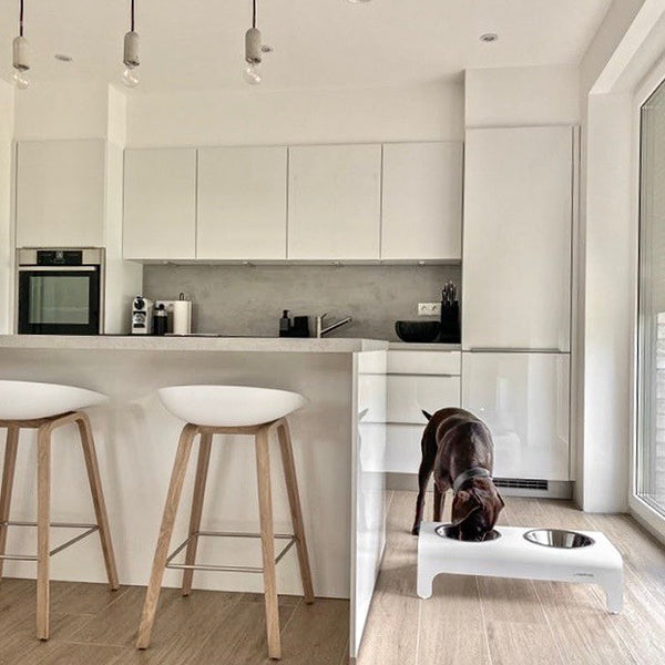 Rico Cat/Dog Feeder - White