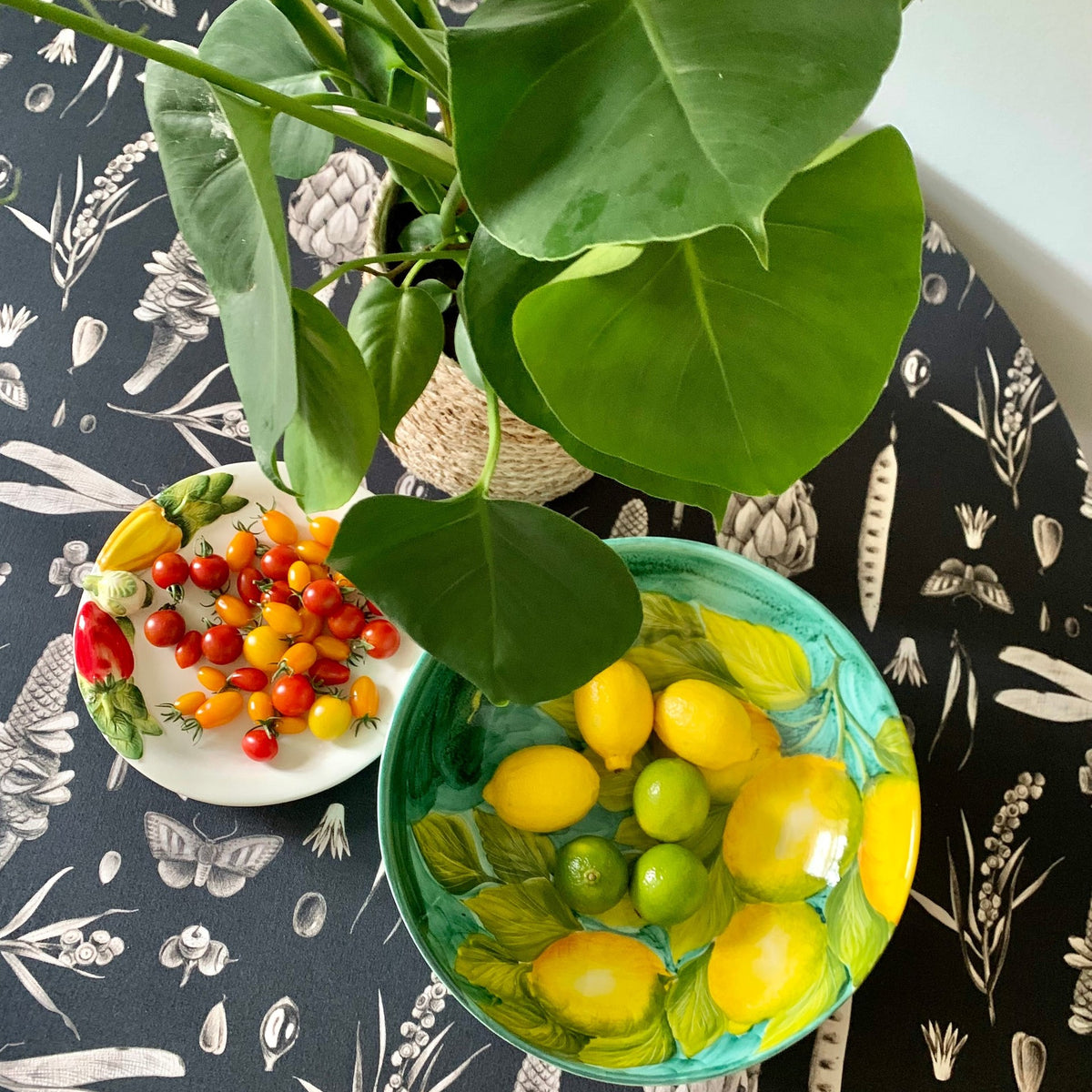 Round Tablecloth - Seeds Carbon