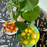 Round Tablecloth - Seeds Carbon
