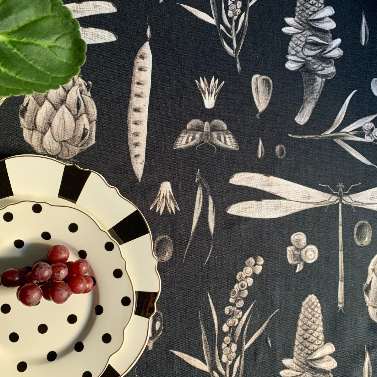 Round Tablecloth - Seeds Carbon