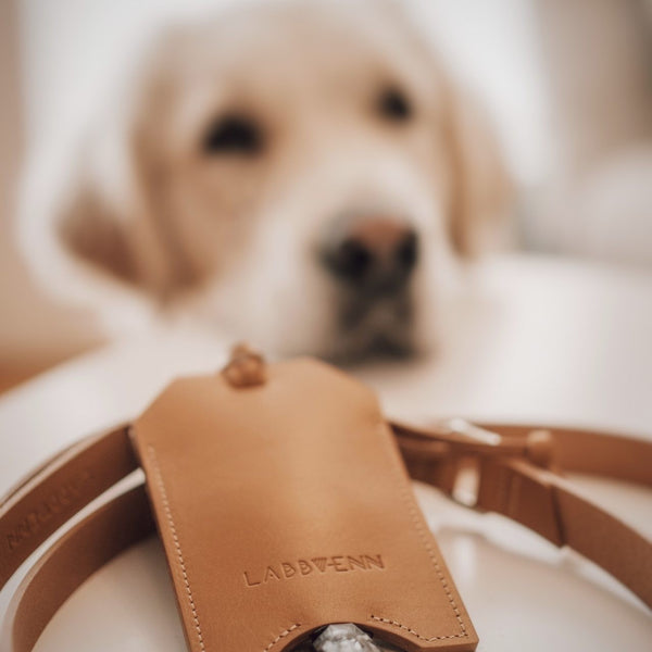 Saku Bag Dispenser - Camel 