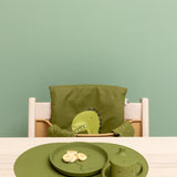 Silicone Plate - Mr. Dino