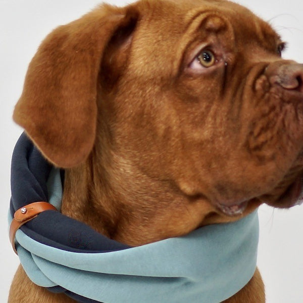 Simo Neck Warmer - Turquoise & Iron 