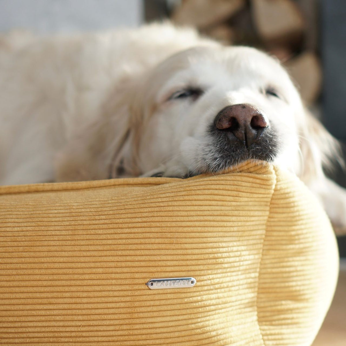 Strippo Dog Bed - Honey 