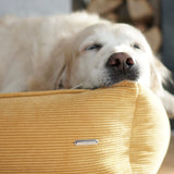 Strippo Dog Bed - Honey 